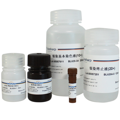 快速银染试剂盒 biosharp实验室专用